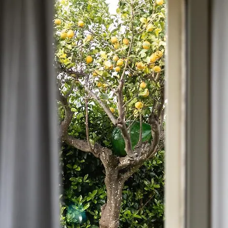 La Talega Guest house